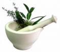 /album/galeria-de-fotos/florais-jpg/